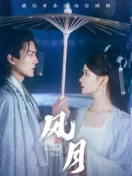 雾港谜踪 热播电视剧全集在线观看